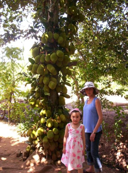 Maman et cousine ngoc anne à coté d'un jacquier.