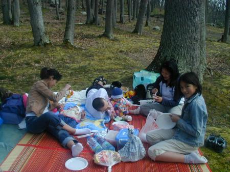 Oh le picnic..