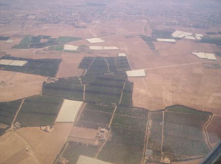 Plantations pres d'Agadir