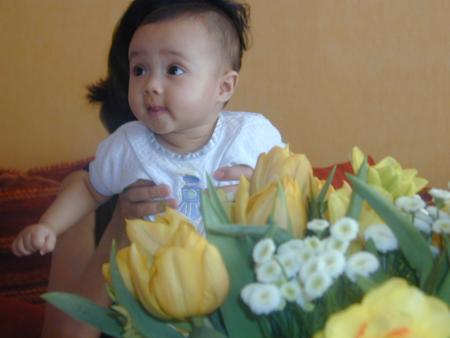 Sofia l'abeille.