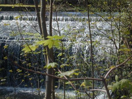 Petite cascade