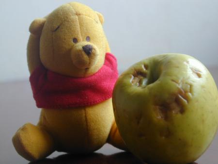 Winnie *tout en regardant Sofia* : 